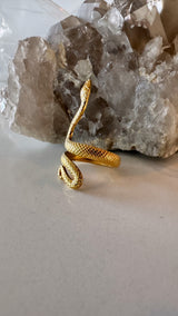 Serpent Ring