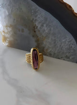 Nixon Ring
