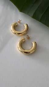 Dina Hoop