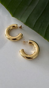 Dina Hoop