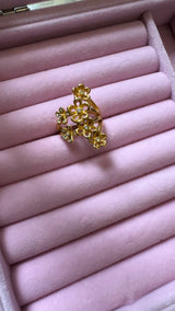 Alexis Ring
