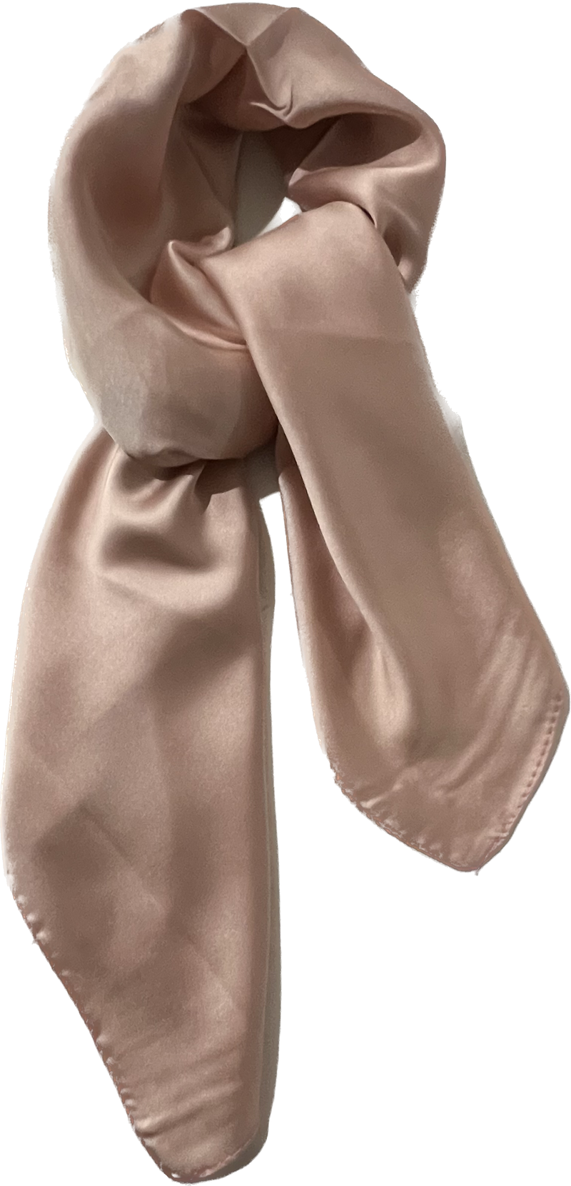 Bailey Neck Scarf Obsessions Fashion