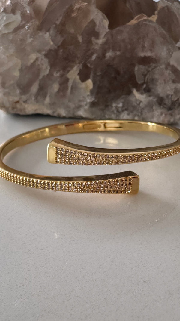 Nicole Bangle