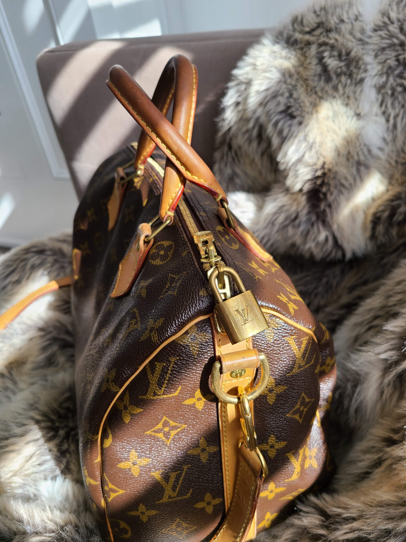 Louis discount vintage bag