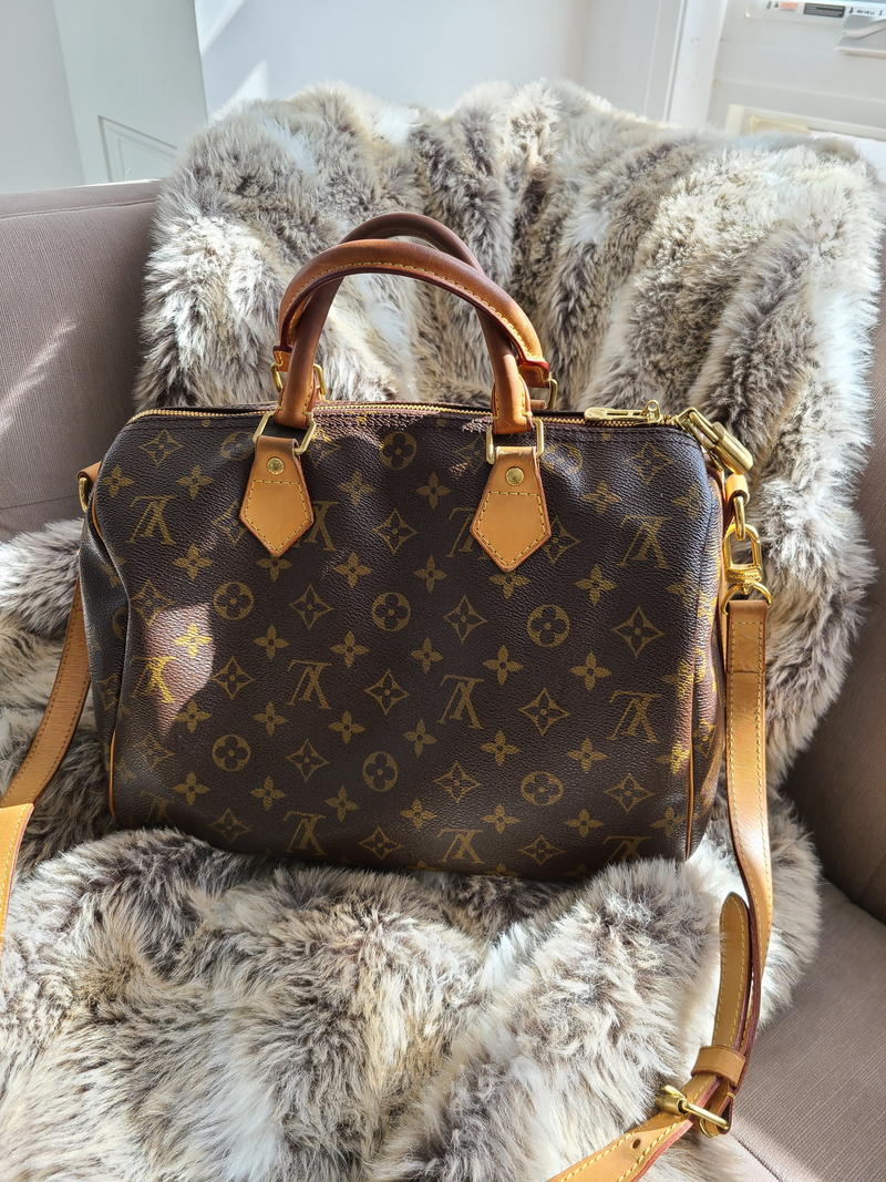 Louis Vuitton Speedy 30 Brown Monogram